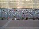 Стена памяти на Малой Садовой. Фото: Галина Артёменко