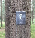 Левашовское момориальное кладбище, кенотаф