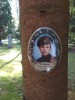 Левашовское мемориальное кладбище, кенотаф
